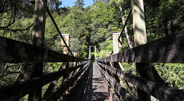 Hūnua Suspension Bridge Path - Suspension bridge.
