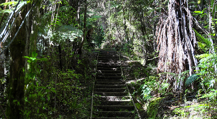 Hūnua Suspension Bridge Path - Steps and path up to look out.