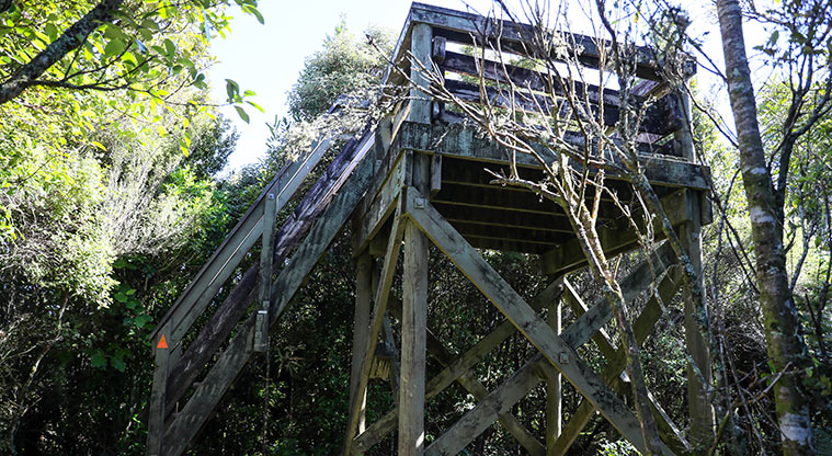 Hūnua Suspension Bridge Path - First lookout point.