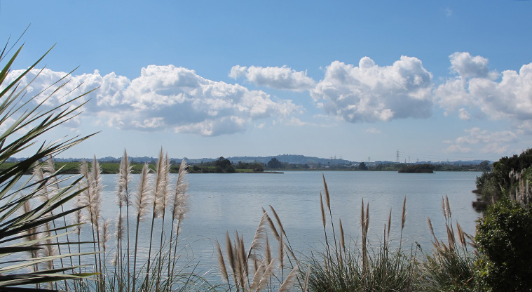 Karaka Path - A view looking east to the motorway.