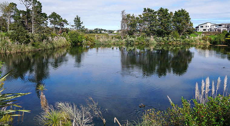 Karaka Path - Places to stop and rest overlooking the wetland.