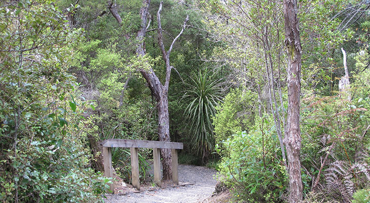 Kauri Point Centennial Path - Expect a few stairs down to Kendalls Bay