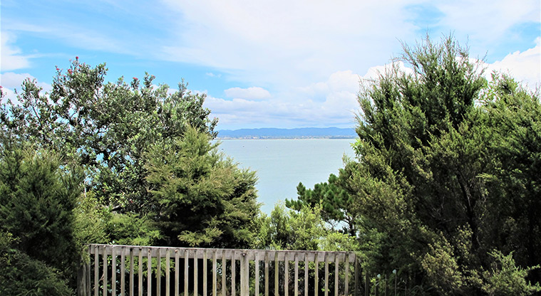 Kauri Point Centennial Path - View from lookout