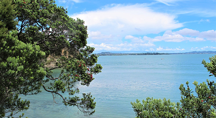 Kauri Point Centennial Path - Idyllic sea views over Kendalls Bay