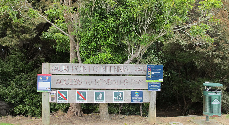 Kauri Point Centennial Path - Alternative access from Onetaunga Road (west)