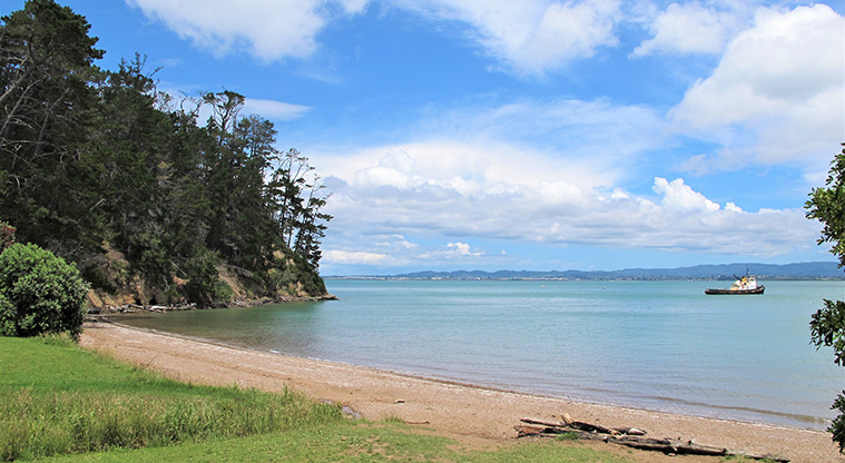 Kauri Point Domain Path