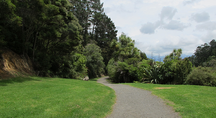 Kauri Point Domain Path - Path is suitable for a buggy or push chairs