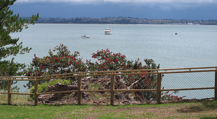 Kauri Point Domain Path - Great views over the Upper Harbour