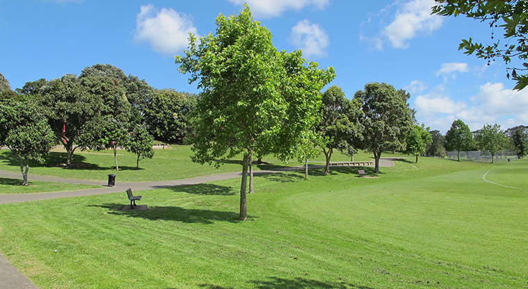 Keith Hay Path - path goes through trees with seating