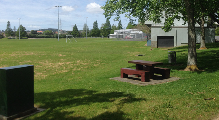 Ken Maunder Path - picnic table and view of sport fields at Ken Maunder Park