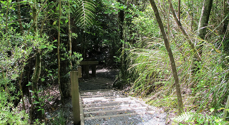 Kepa Bush Path - Short flight of stairs down.