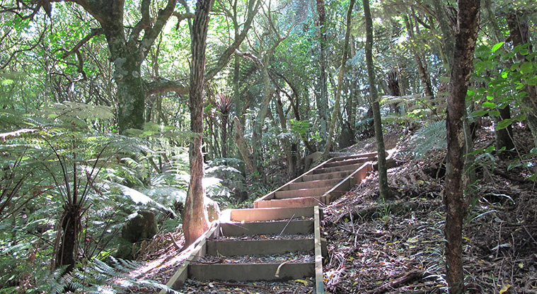 Kepa Bush Path - Short flight of stairs up.