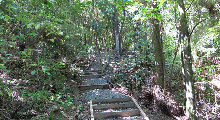 Kepa Bush Path - Further short flight of stairs.
