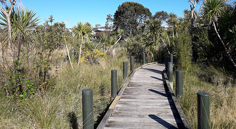 Kohuora Short Loop Path - boardwalk section of the path in Kohuora Park
