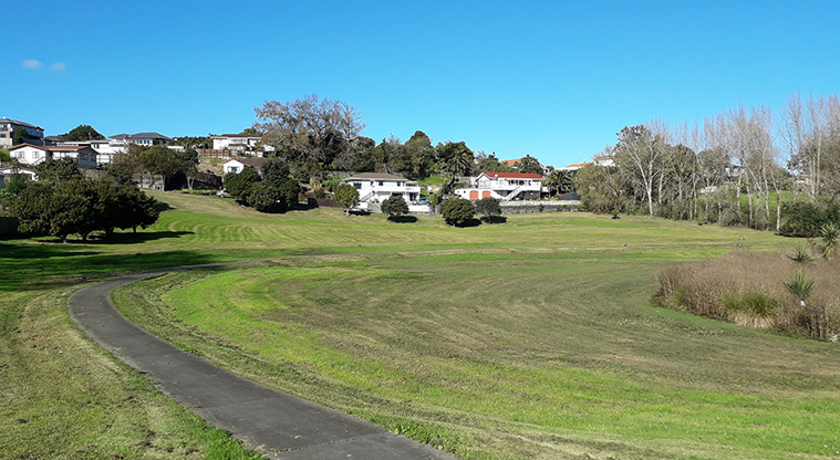 Kohuora Short Loop Path - path section winding through Kohuora Park