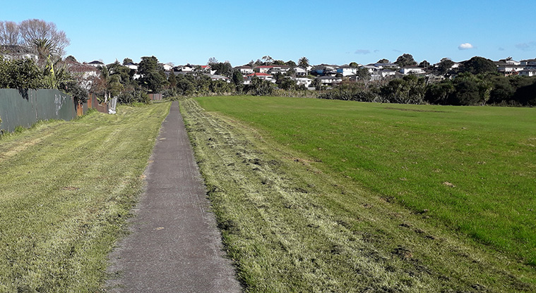 Kohuora Short Loop Path - a typical section of path