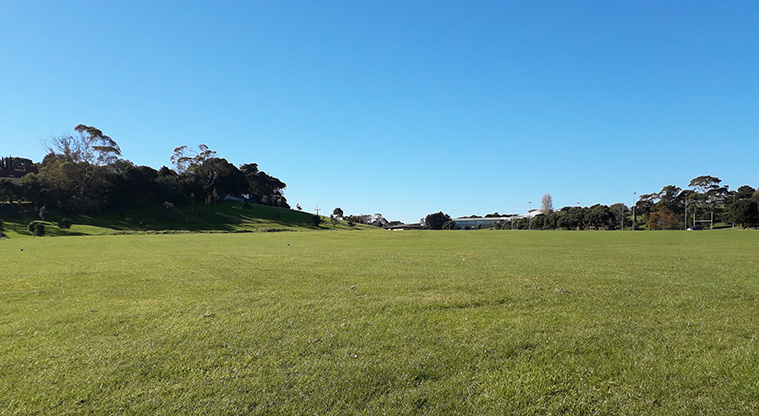 Kohuora Short Loop Path - open sport fields close to the entrance of Kohuora Park