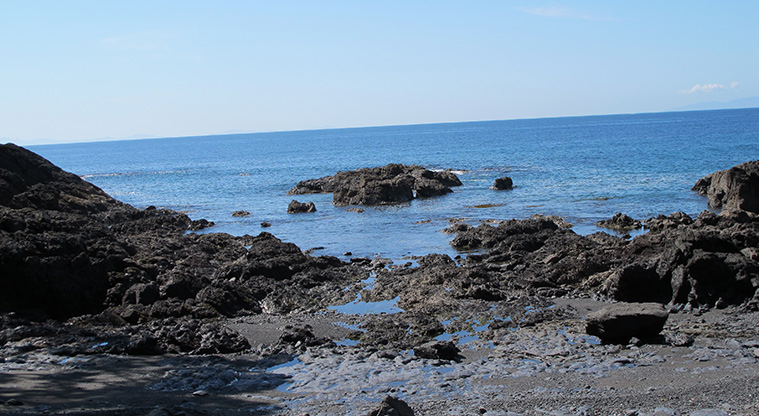 Leigh Coastal Path - Small rocky beach.