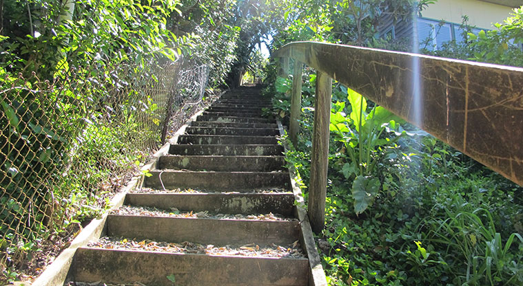 Leigh Coastal Path - Steps up – there are quite a few.