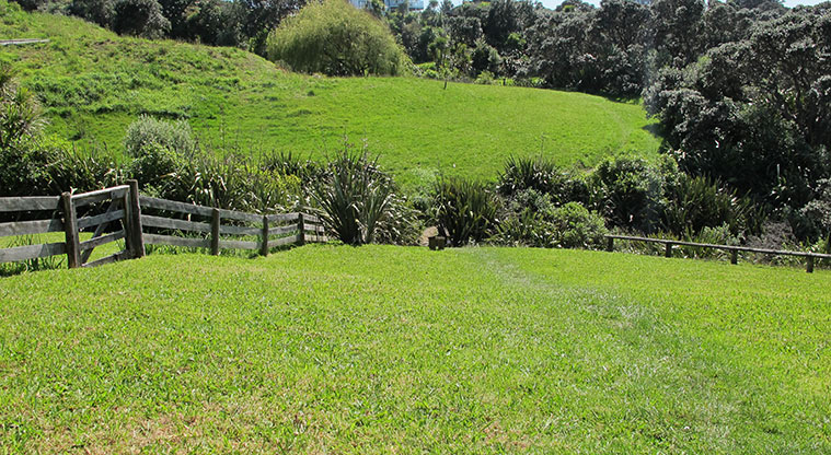 Leigh Coastal Path - Grass section of the path.