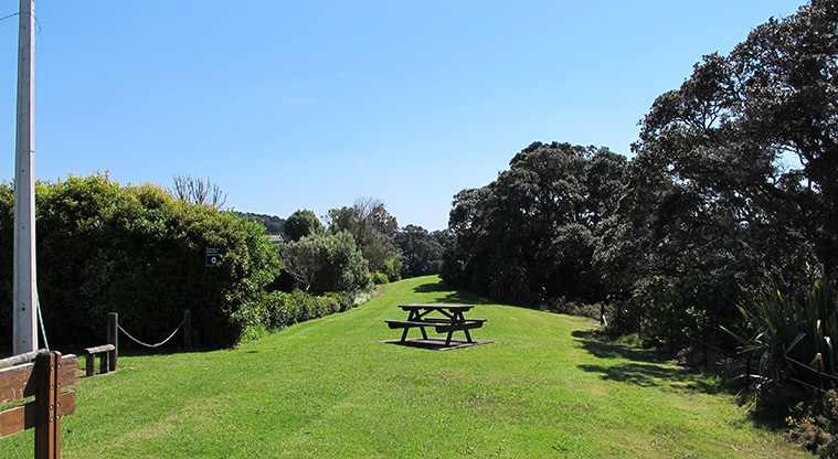 Leigh Coastal Path - Cotterell Street Reserve.