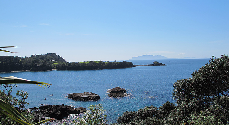 Leigh Coastal Path - Views to Panetiki Island and Great Barrier.
