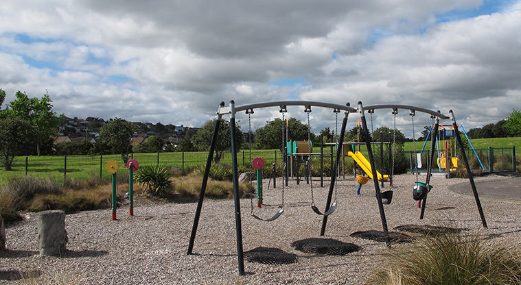 Lloyd Elsmore Path - Playground.