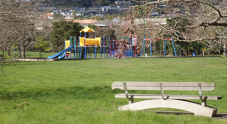 Logan Carr Path - Reserve and playground viewed from Kilkenny Drive.