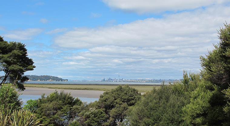 Luckens Coastal Path - Great city and upper harbour views.
