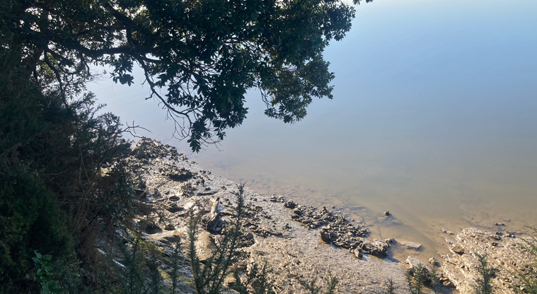 Luckens Coastal Path - Be careful getting down to the mudflats here, best at low tide.
