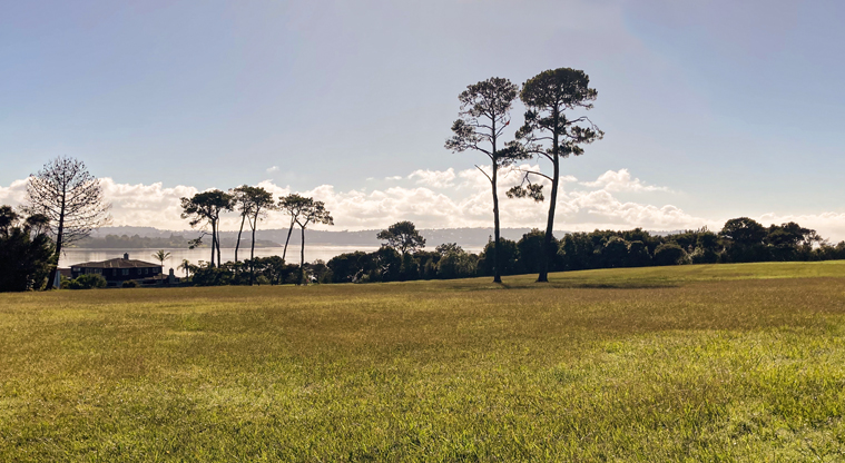 Luckens Coastal Path - Luckens Reserve has wide open fields.