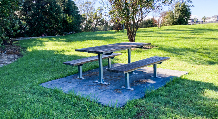 Luckens Reserve Path - There are quiet spots for a picnic in Luckens Reserve.