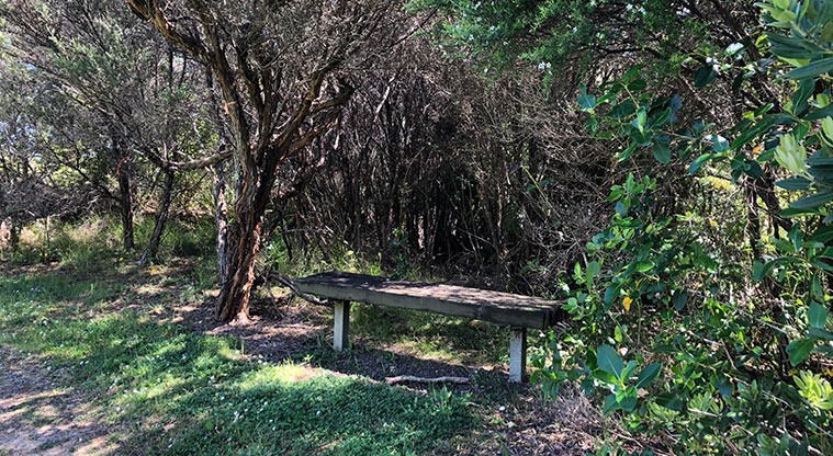 Lynfield Cove Path - Places to sit in the shade