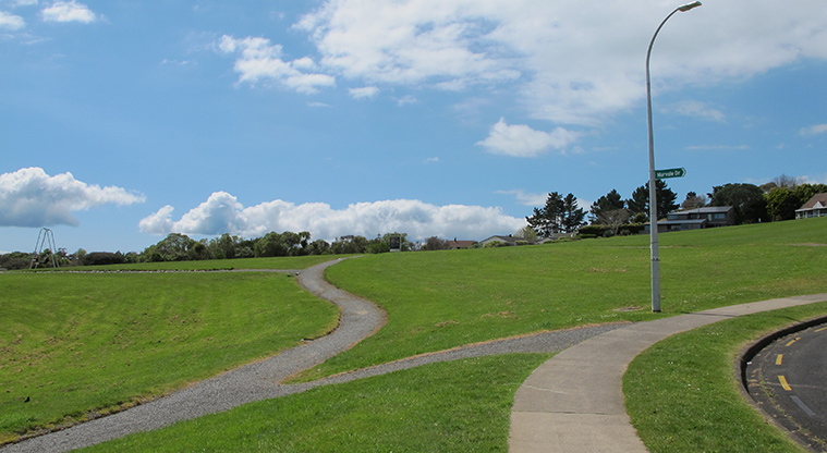 Macleans Path - Path start