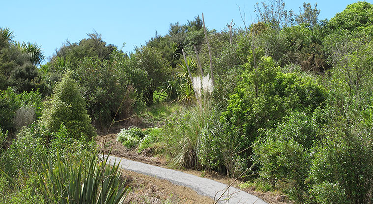 Macleans Path - The walk back to the playground has a few hills