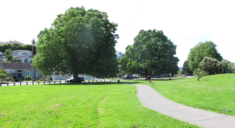 Madills Path - Path section through Madills Farm Recreation Reserve.