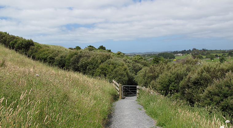 Mangemangeroa Rotary Path - Follow the path through the gate.