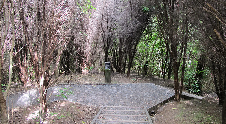Mangemangeroa Rotary Path - Head right at this sign to stay on the loop.