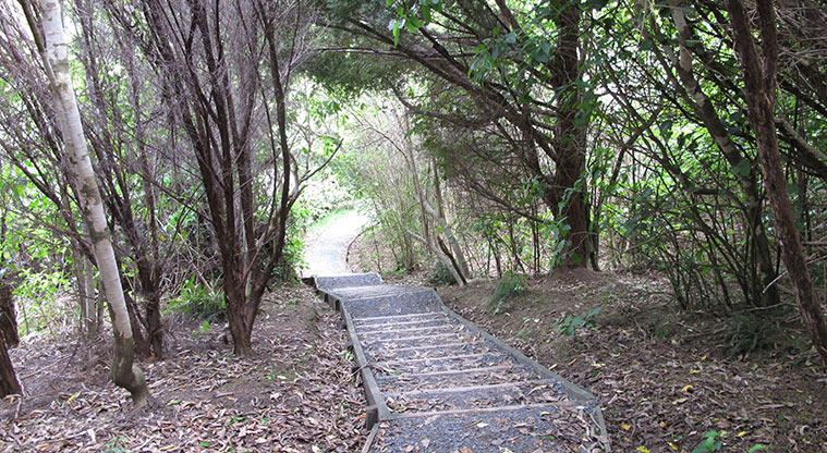 Mangemangeroa Rotary Path - Steps down – path is in good condition.