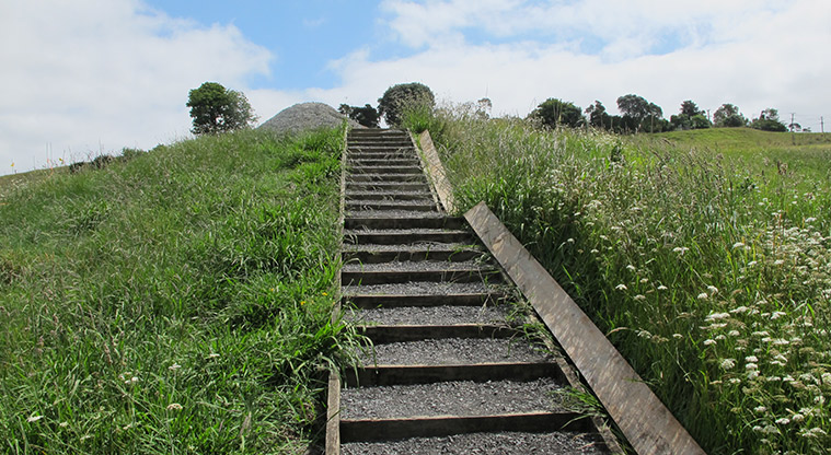 Mangemangeroa Rotary Path - The path then heads into more open pasture, still more steps.