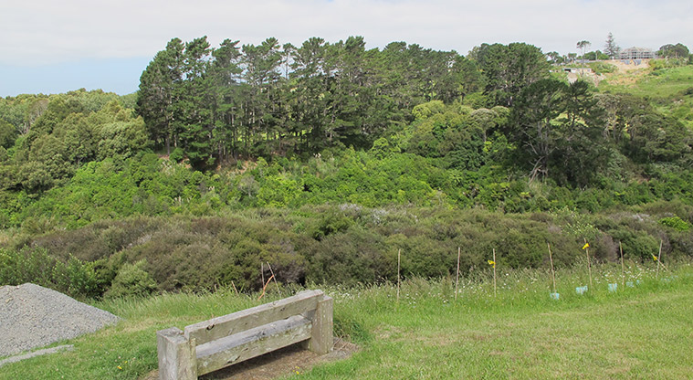 Mangemangeroa Rotary Path - A great place to stop and look down the valley.