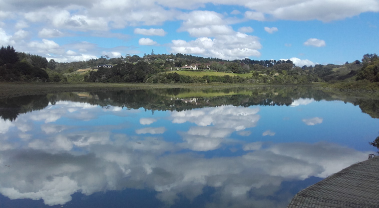 Mangemangeroa Shelly Park Beach Path