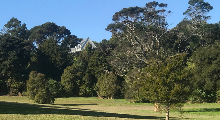 Manuka Reserve Path- Open park area for dog exercise.