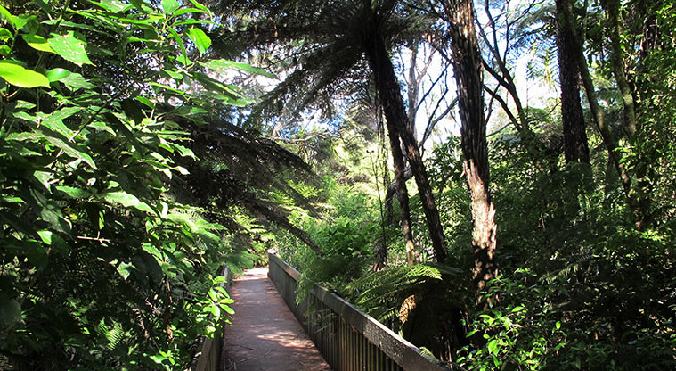 Manutewhau Path - Bridge access from Ruze Vida Drive