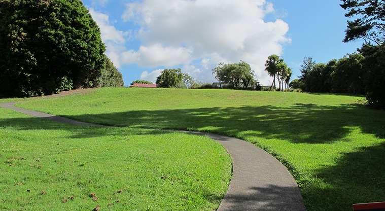 Manutewhau Path - Path breaks for short time out of bush and access to Oreil Avenue