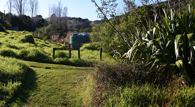 Matiatia to Oneroa Forest Path - At the end of the grass path, turn right, following the ‘vineyards’ direction.
