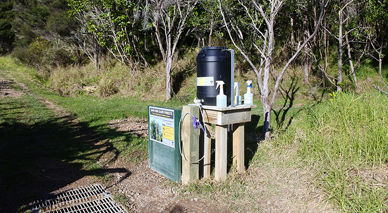 Matiatia to Oneroa Forest Path - Waiheke is still free of kauri dieback disease, so please thoroughly clean your shoes at the cleaning station.