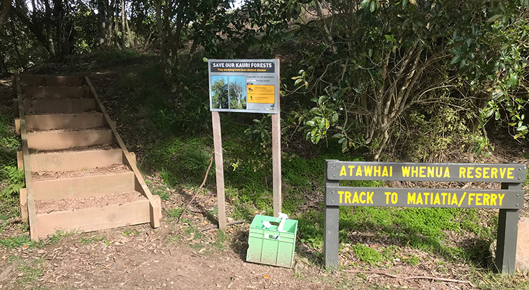 Matiatia to Oneroa Forest Path - Heading down from Oneroa, look out for the track entrance at the top of Ocean View Road. It’s a little bit hidden!
