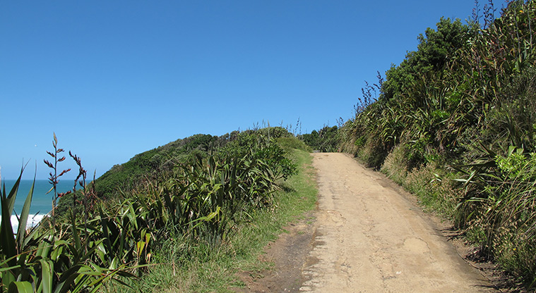 Maukatia Gannet Track - Track is good condition for easy walking.