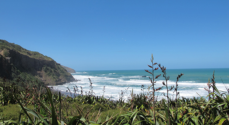 Maukatia Gannet Track - Great views over Maukatia / Māori Bay.